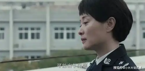 扫黑风暴最狠角色出场,扮猪吃老虎14年,李成阳输得不冤