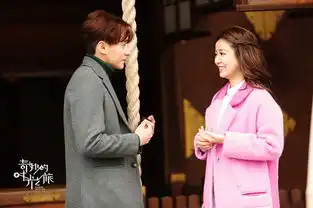 奇妙的时光之旅鲜肉金圣柱林心如尝试闪婚
