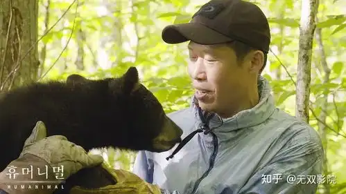 人类动物豆瓣9.5,人类和野生动物,到底谁更可悲