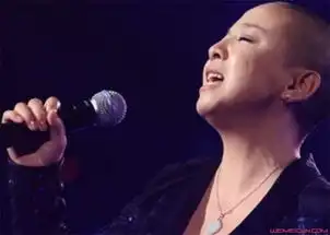 最星闻王韵壹个人资料王韵壹腿怎么了
