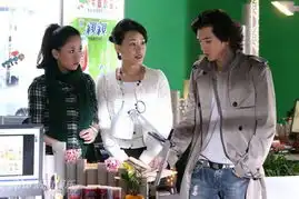 资料图片电视剧佳期如梦精美剧照9
