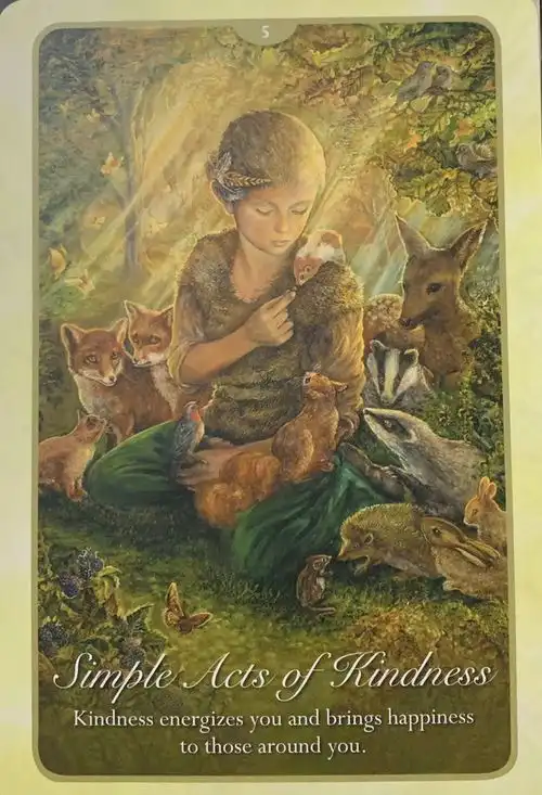 周周有知音让塔罗指引你找到答案