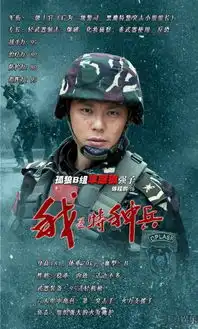 电视剧我是特种兵剧照带人物简介的
