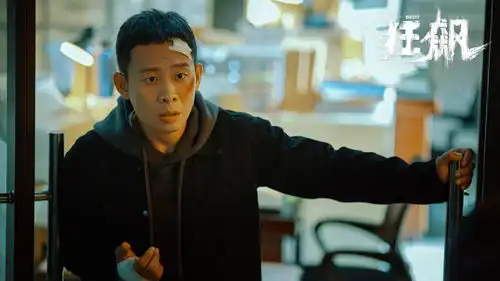 老戏骨飙戏狂飙,首部扫黑除恶常态化剧集,插叙讲述历时20年扫黑行动
