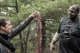 贝爷带奥尼尔荒野求生大鲨鱼遭活埋
