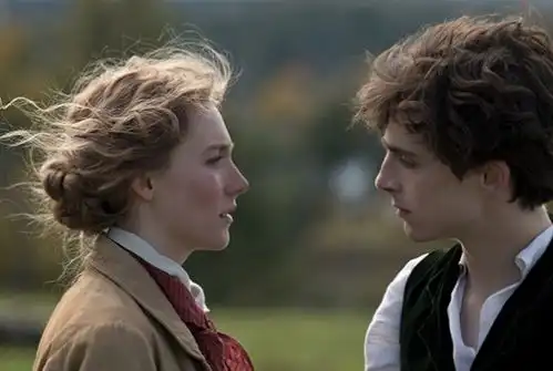 为什么小妇人的结局的争议会如此大