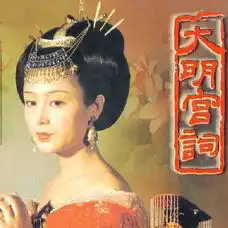 电视剧大明宫词
