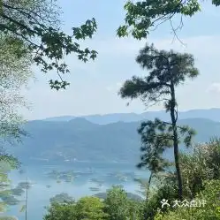 电话,地址,价格,营业时间图阳新县周边游