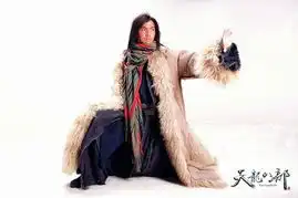 新天龙八部钟汉良版演员表1115集电视剧全集剧情介绍
