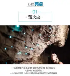 新西兰北岛2日游世界奇景指环王电影之旅怀摩托萤火虫洞霍比屯红木森林爱歌顿农庄地热喷泉新西兰奇异鸟特色鹿肉晚餐山顶自助午餐