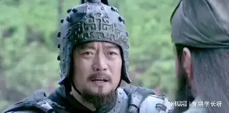 新三国会不会选角威震逍遥津的张辽,整天一副愁眉苦脸的样子
