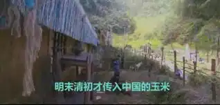 古剑奇谭穿帮镜头晴雪灵蝶与笑傲江湖东方不败灵蝶同厂制造
