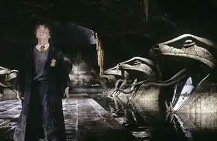 哈利波特上映15年那个勇敢的男孩依然难忘
