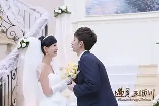 遇见王沥川国内偶像剧破冰启示