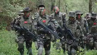 我是特种兵剧照
