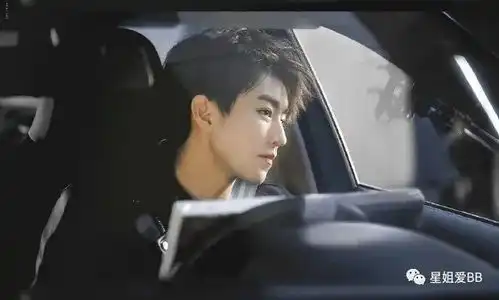 他算是国内反薅爱豆羊毛的第一人了吧