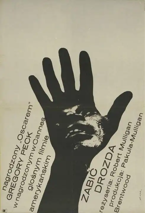 杀死一只知更鸟从孩子的视角看待种族歧视,探索微妙的人性
