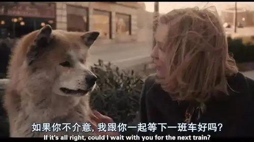主人过世后,爱犬突然消失不见,直到半年后在这里找到了狗狗......