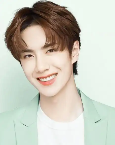 谭松韵林更新成毅肖战张彬彬景甜毛不易王一博