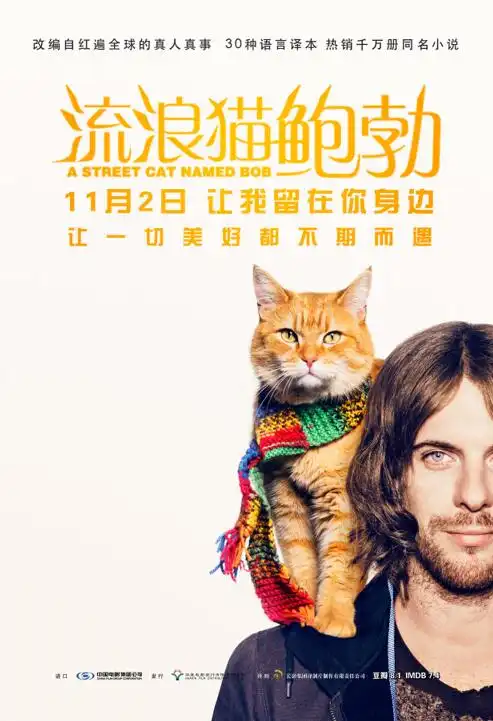告别最冷10月高分治愈系电影流浪猫鲍勃口碑上榜