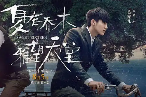 夏有乔木雅望天堂主要讲什么
