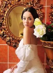 另类典雅的复古新娘纱

