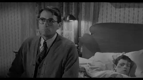 再读哈珀李的杀死一只知更鸟失衡的社会与正义善良的缺失
