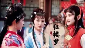 红楼梦贾宝玉花袭人云雨之事
