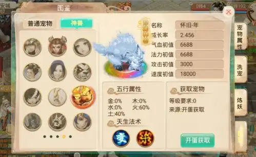 大话西游手游超级土豪竟用了六百万仙玉,炼制了一套无价配饰
