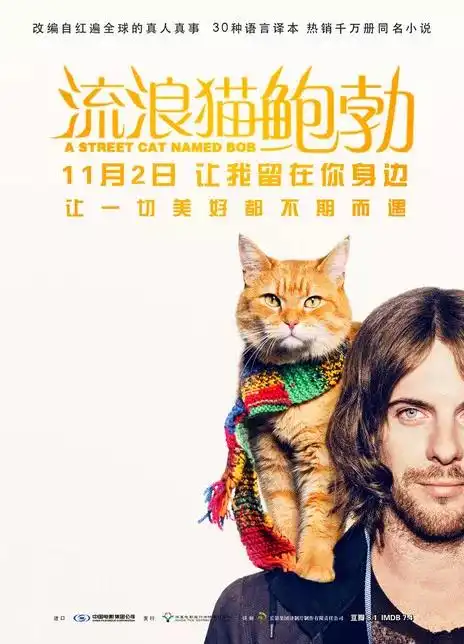 给单身的你分享五部适合元旦放假看的电影