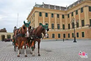 中国人走世界中欧浮光生活频道
