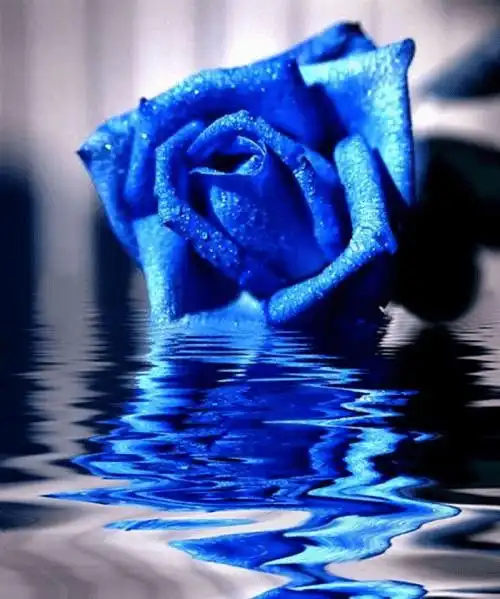 下周之后财运大涨3生肖横财一笔接一笔,喜事连连
