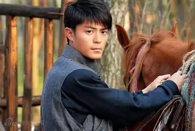 新一剪梅在线观看全集新一剪梅霍建华新一剪梅全集观看
