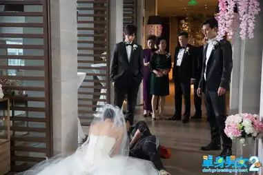 单身男女2发五星追爱特辑