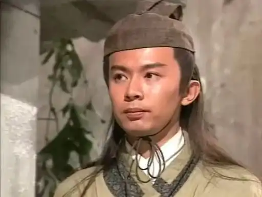 昔日大明星今日苦行僧何宝生
