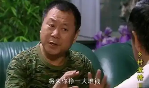 乡村爱情变奏曲王天来被骗是多少集
