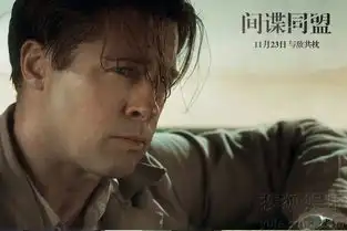 间谍同盟发新剧照皮特玛丽昂演绎二战绝恋8776509
