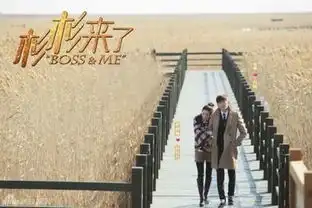 杉杉来了2930集电视剧全集剧情杉杉疑不孕着急和封腾结婚
