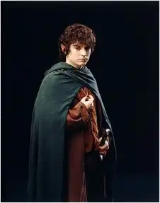 伊利亚伍德,这名跟随魔戒一起成长的演员你了解多吗
