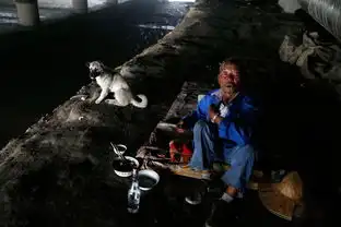 六旬老人蜗居桥洞下12年