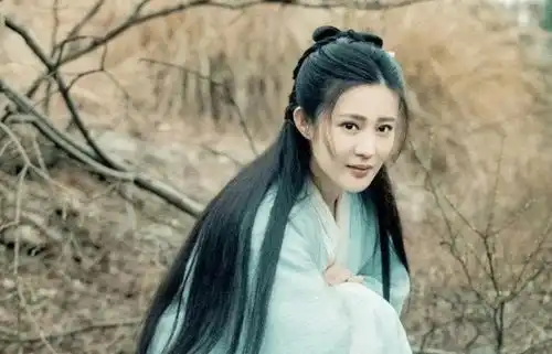 杨过更爱郭芙还是小龙女金庸没明说,答案藏在另两位女子名字中