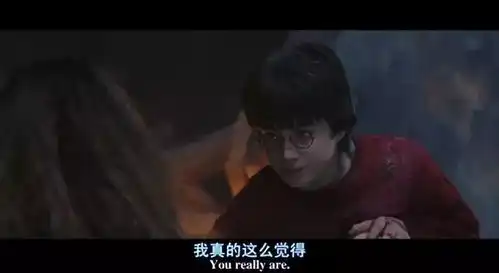专业被调剂了,人生也要服从调剂吗南粤青年说
