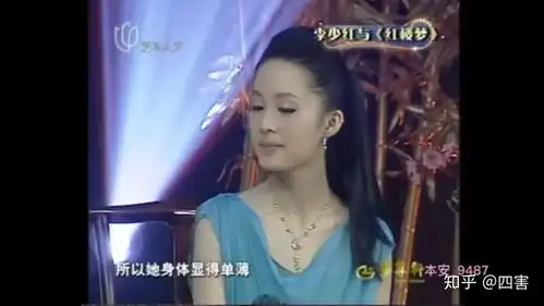 既然李少红导演出橘子红了和大明宫词这样出彩的电视剧,为何却不好好拍新版红楼梦
