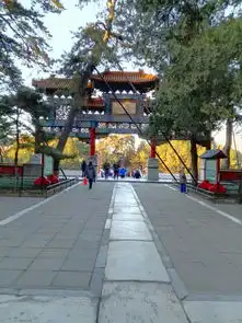 迈大步快步走颐和园半日游