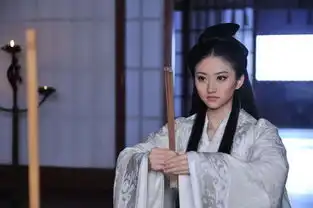 孙子大传剧照
