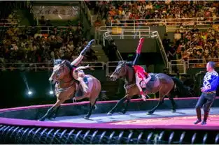和小飞侠彼得潘一起去永无岛冒险吧票我送你