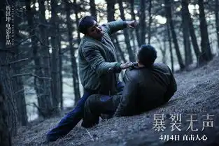 暴裂无声导演忻钰坤只呈现了十分之一打戏,结尾没有被和谐
