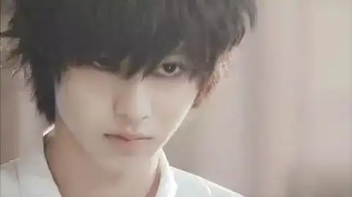 全球人气度最高5位小正太,韩国朴灿烈,日本山崎贤人,中国2位