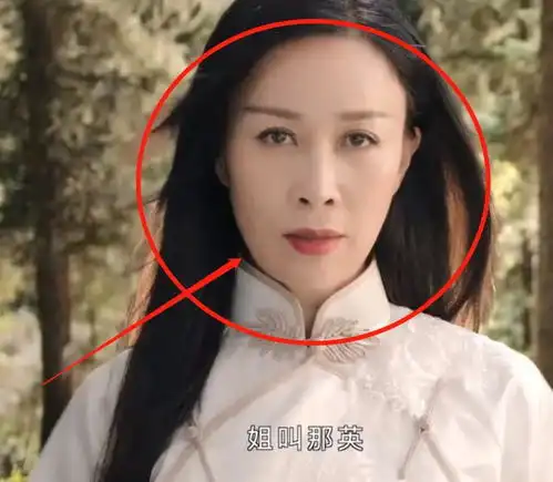 那英扮相司藤上演按唇杀,景甜在线认证,张彬彬的留言却成亮点