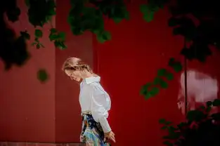 江一燕的故宫大片曝光,文艺清新楚楚动人
